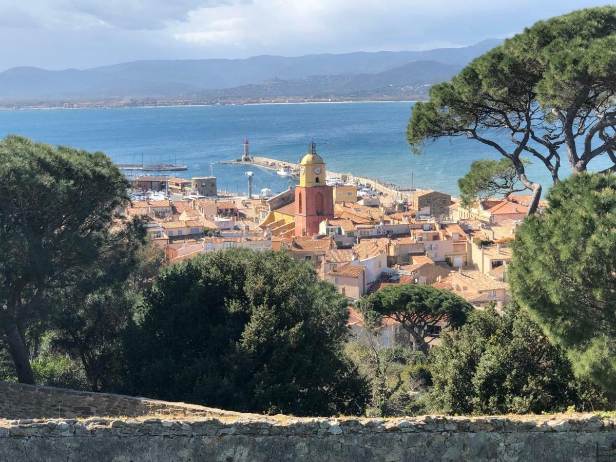 Villa Patrimoine Les Issambres Luaran gambar